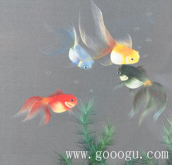 金魚自由自在的游動、展現出形態(tài)優(yōu)美的舞姿!